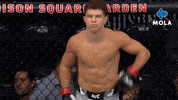 Fight Fighting GIF by MolaTV