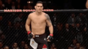 ufc 205 GIF