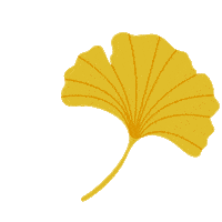 Ginkgo Biloba Sticker by Kew Gardens