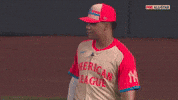 New York Yankees Sport GIF by MLB