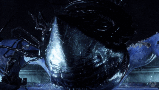 Hack And Slash Face GIF by Xbox