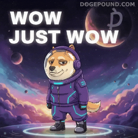 Shiba Inu Wow GIF by Doge Pound