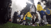 selecao brasileira GIF by Confederação Brasileira de Futebol
