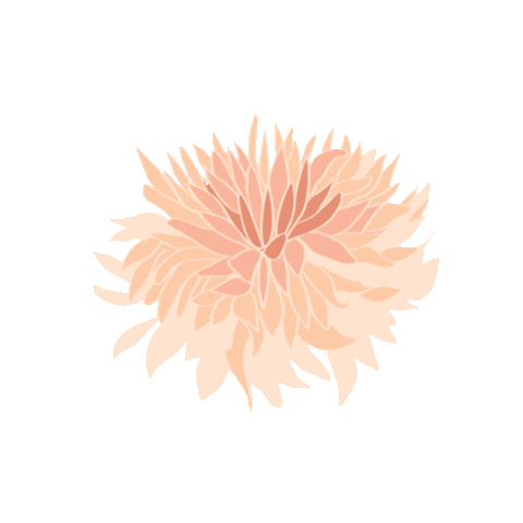 maevegondercreative pink design maeve maeve gonder creative Sticker