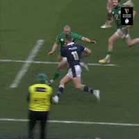 Smash Irish Rugby GIF by Guinness Six Nations