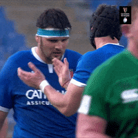 Irish Rugby GIF by Guinness Six Nations
