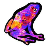Pride Queer Sticker by Amnistia Internacional Mexico