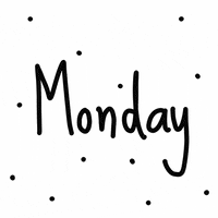 Monday Pinotti GIF by scholzydesign