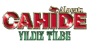 cahidepalazzo cahide alaçatı Sticker