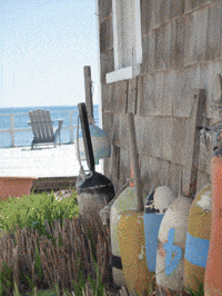 beach house GIF