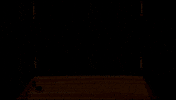 Angelo Rolling Down The Street GIF