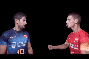 redlynxes volleyball voleibol mikasa redlynxes GIF