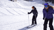 Youtube Skiing GIF by tyler oakley