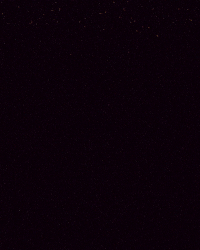 Valentines Day Love GIF by We Set The Standards