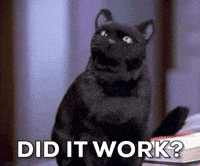 Season 4 Cat GIF by Paramount+