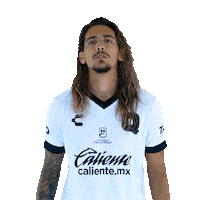 Liga Mx Gallos Sticker by Club Querétaro
