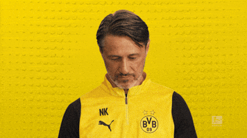 Look Up Borussia Dortmund GIF by Bundesliga