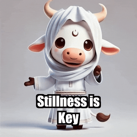 Wisdom Stillness GIF by Sagemoohammad