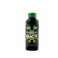 Vegan Grow Sticker by BAC Holland