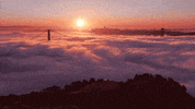 Foggy Morning GIF