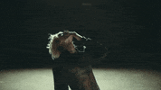 Papercuts GIF by Machine Gun Kelly