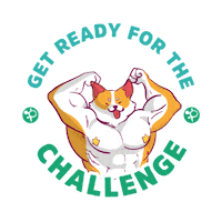 Challenge Sticker by Poliglota