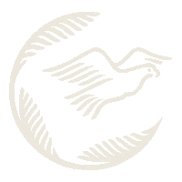 St Lucia Bird Sticker by Sugar Beach, A Viceroy Resort