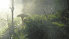 fall smoke GIF by Living Stills