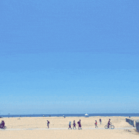 GIF by GIPHY CAM