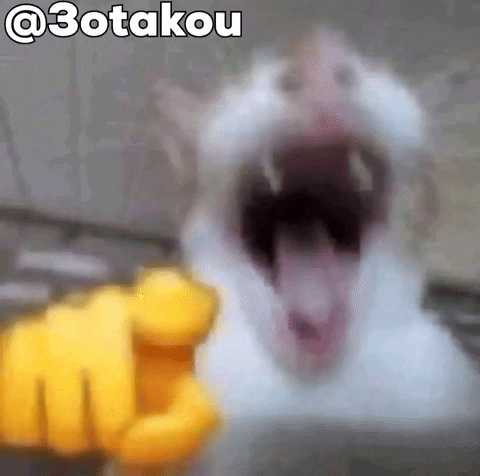 Cat Kitty GIF by Otakou