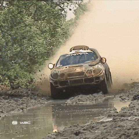 Rallying All In GIF by FIA World Rally Championship
