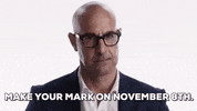 vote voting GIF by Election 2016