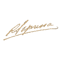 Costa Rica Signature Sticker by Deportivo Saprissa