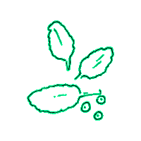 JenniferWester tea plant holly jenniferwester Sticker