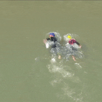 Swim Swimming GIF by PTO