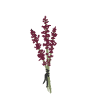 Beauty Flowers Sticker by Naturtint_USA