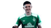 high five football Sticker by SV Werder Bremen