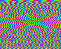 loop 12 colors GIF by Kim Asendorf