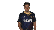 Vbl Gesture Sticker by Bundesliga