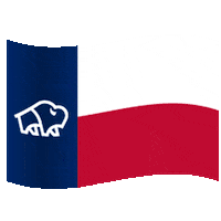 lone star texas Sticker by TWINOAKS