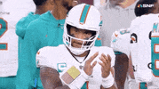 Regular Season Football GIF by NFL