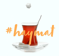 AY_YILDIZ liebe musik essen familie GIF