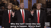 donald trump GIF