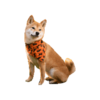 Shiba Inu Doge Sticker by Geekster Pets