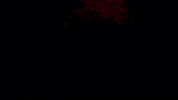 GIF by The Urban Heroes