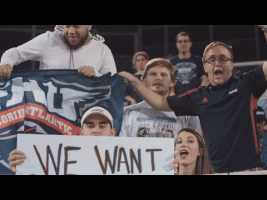 florida atlantic fau football GIF