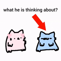 Cat Nub GIF
