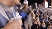 big cat kfc GIF by Barstool Sports