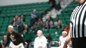 emueagles goeagles GIF by EMU Athletics