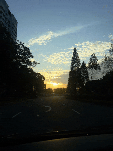 Sabclavian  GIF